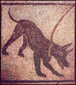 El Perro y el Arte Roma