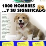 1.000 Nombres Para Tu Perro y Su Significado