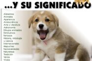 1.000 Nombres Para Tu Perro y Su Significado