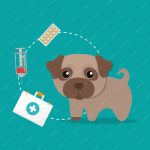 Autoinmunidad en Perros y Gatos