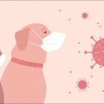 Inmunodeficiencia en Perros y Gatos