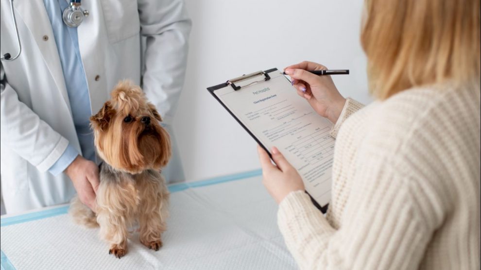 Tratamiento de la Enfermedad Hepática en Perros